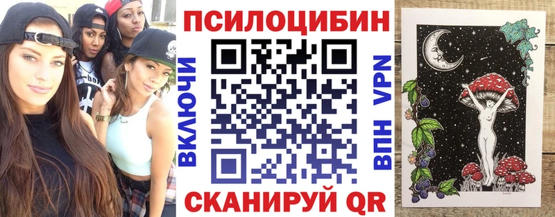 где продают Алагир Псилоцибиновые грибы мухоморы